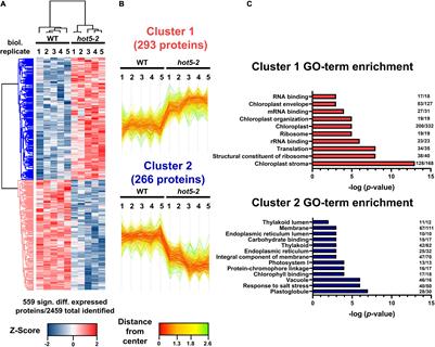 Quantitative Proteome Profiling of a <mark class="highlighted">S-Nitrosoglutathione</mark> Reductase (GSNOR) Null Mutant Reveals a New Class of Enzymes Involved in Nitric Oxide Homeostasis in Plants